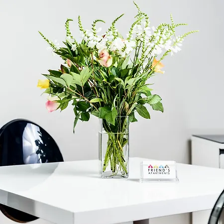 Friends Old Town * Wrocław